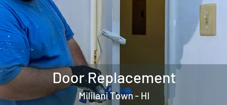  Door Replacement Mililani Town - HI