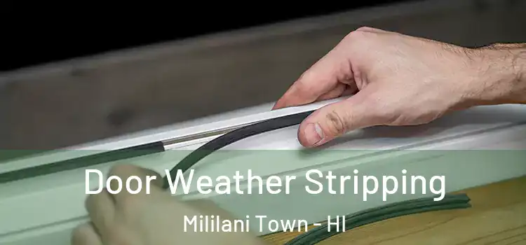 Door Weather Stripping Mililani Town - HI