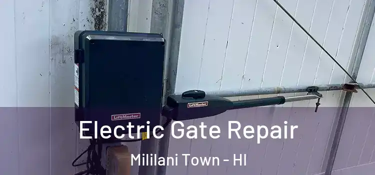  Electric Gate Repair Mililani Town - HI
