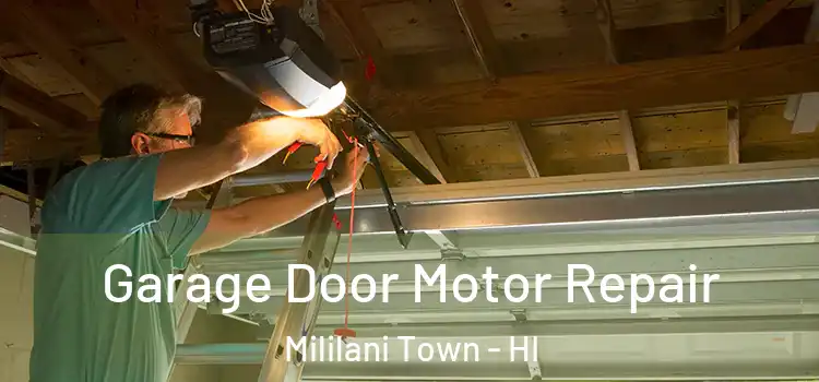  Garage Door Motor Repair Mililani Town - HI