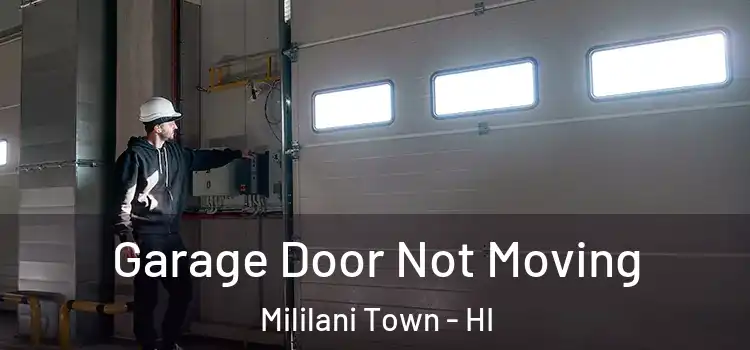  Garage Door Not Moving Mililani Town - HI
