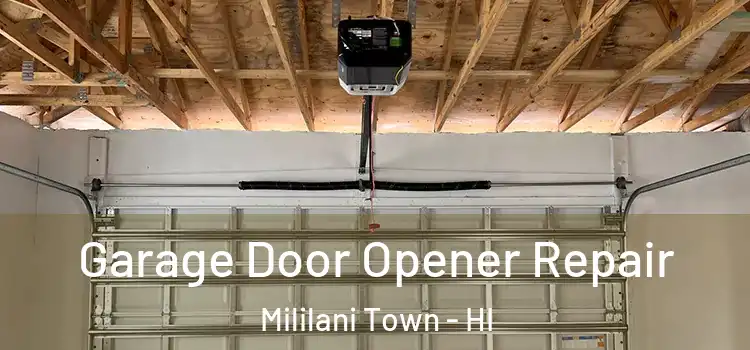  Garage Door Opener Repair Mililani Town - HI