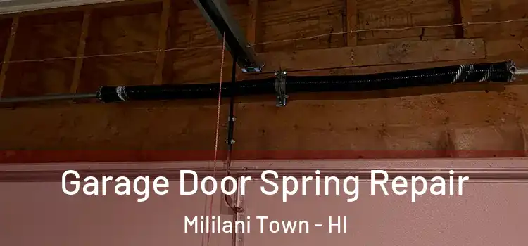  Garage Door Spring Repair Mililani Town - HI
