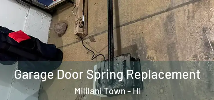  Garage Door Spring Replacement Mililani Town - HI