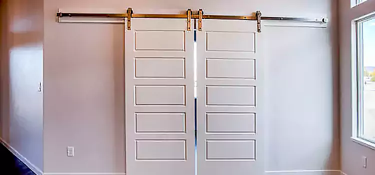 Glass Barn Door with Installation Hardware Kit Mililani Town