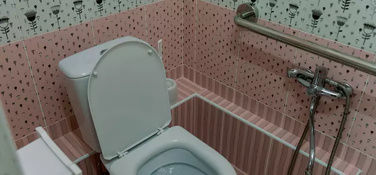 Meeting Diverse Needs With Accessible Restroom Solutions in Mililani Town, HI