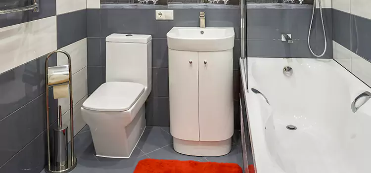 Hansgrohe Shaving Mirror Mililani Town