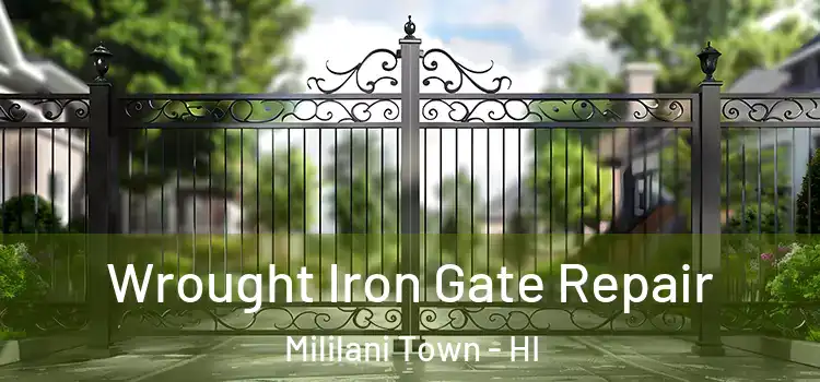  Wrought Iron Gate Repair Mililani Town - HI